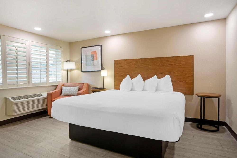 King Room interior